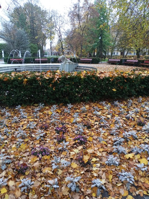 jesień