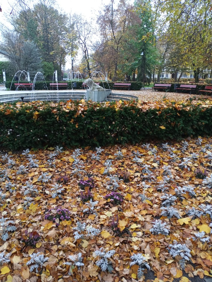 jesień