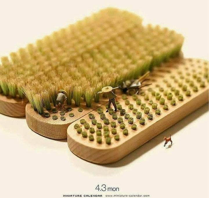 ㄴ