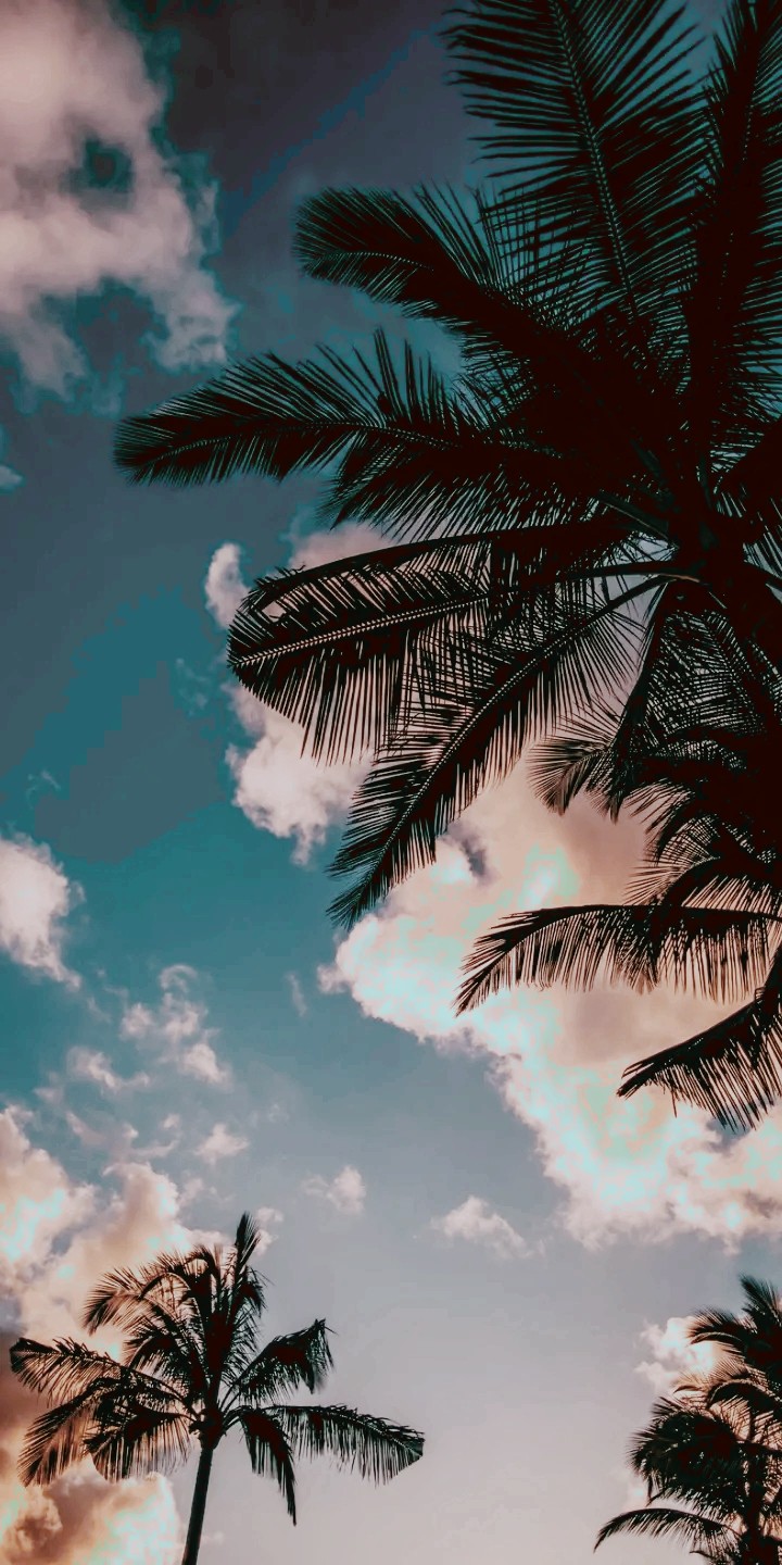miami