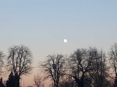 moon original