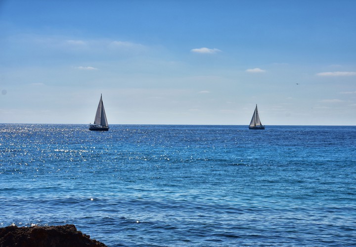 Sailboats