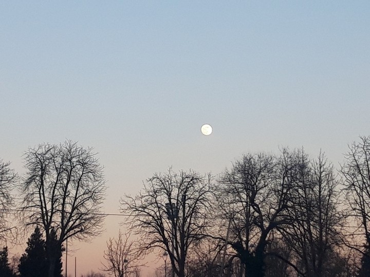 moon original