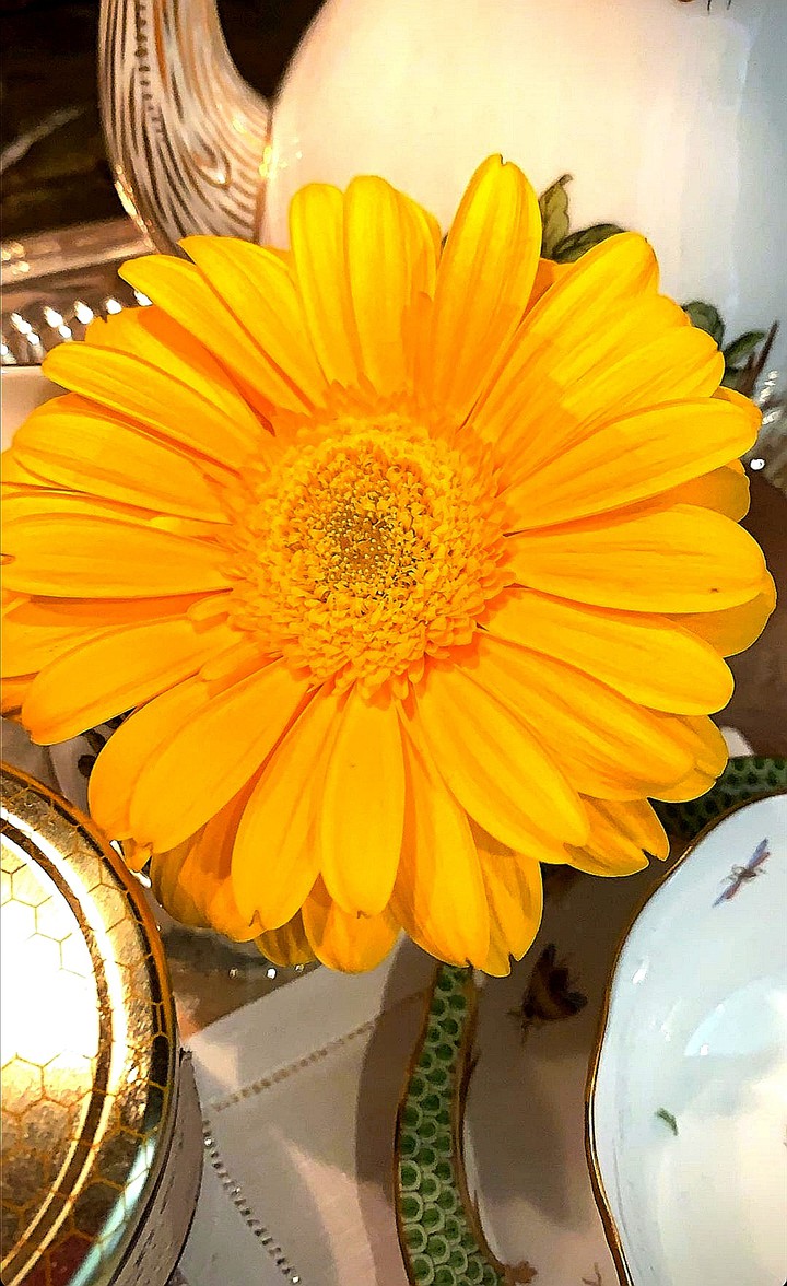flower