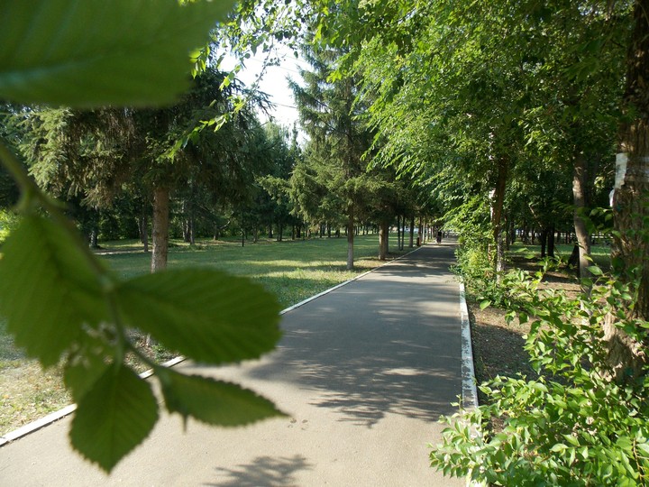 park