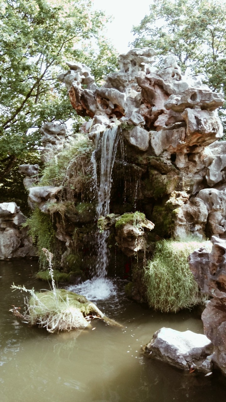 Water