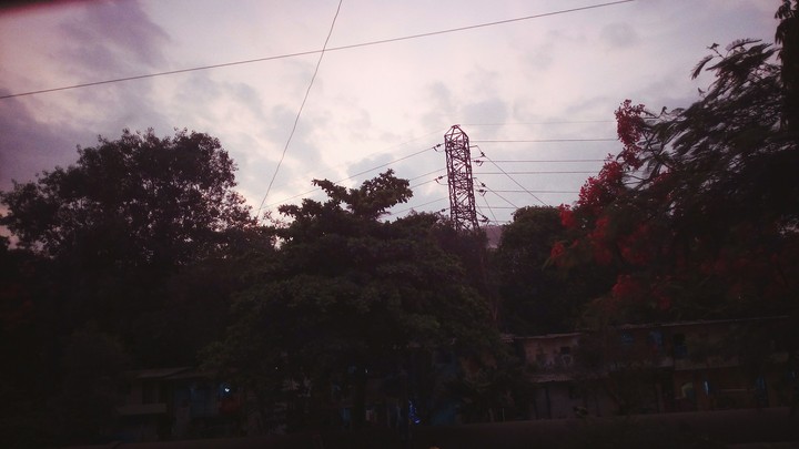 Clouds And trees