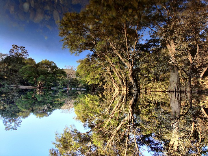 reflection