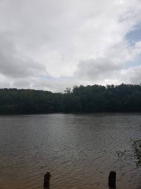 Down By The River