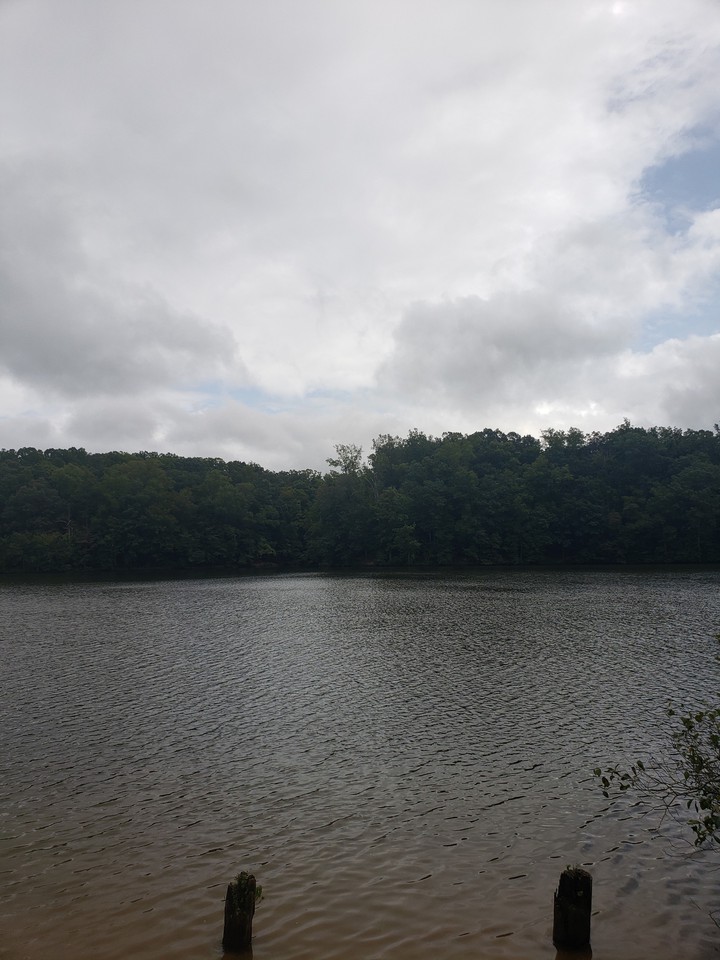 Down By The River