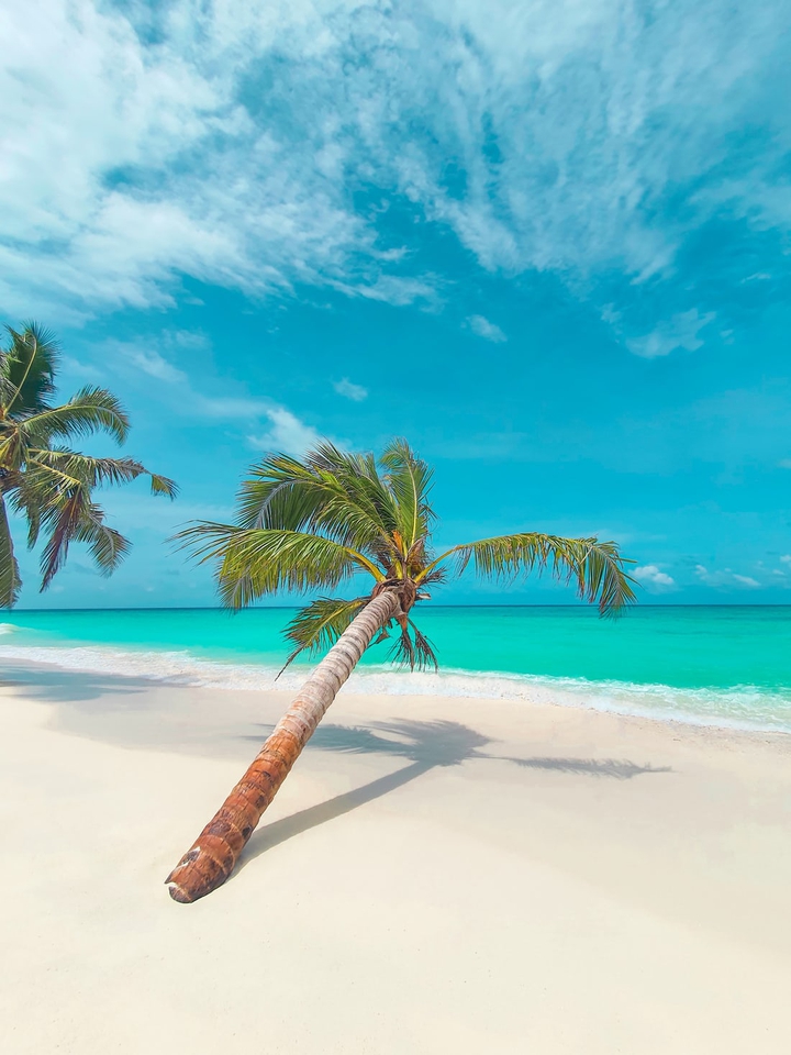 Summer beach