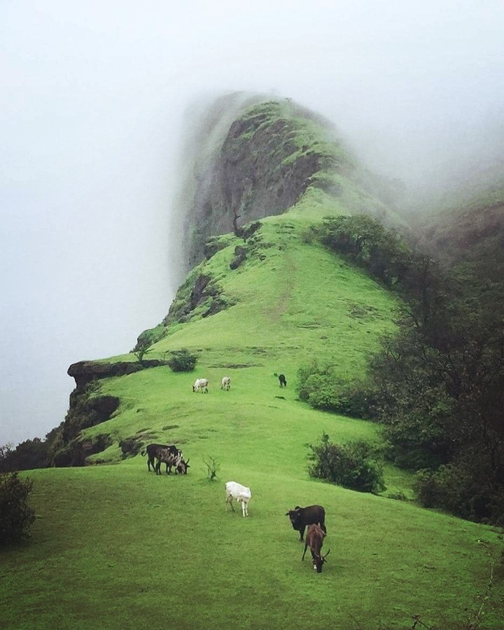 Nature at its best