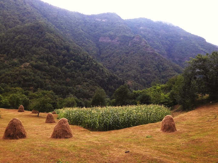 country
