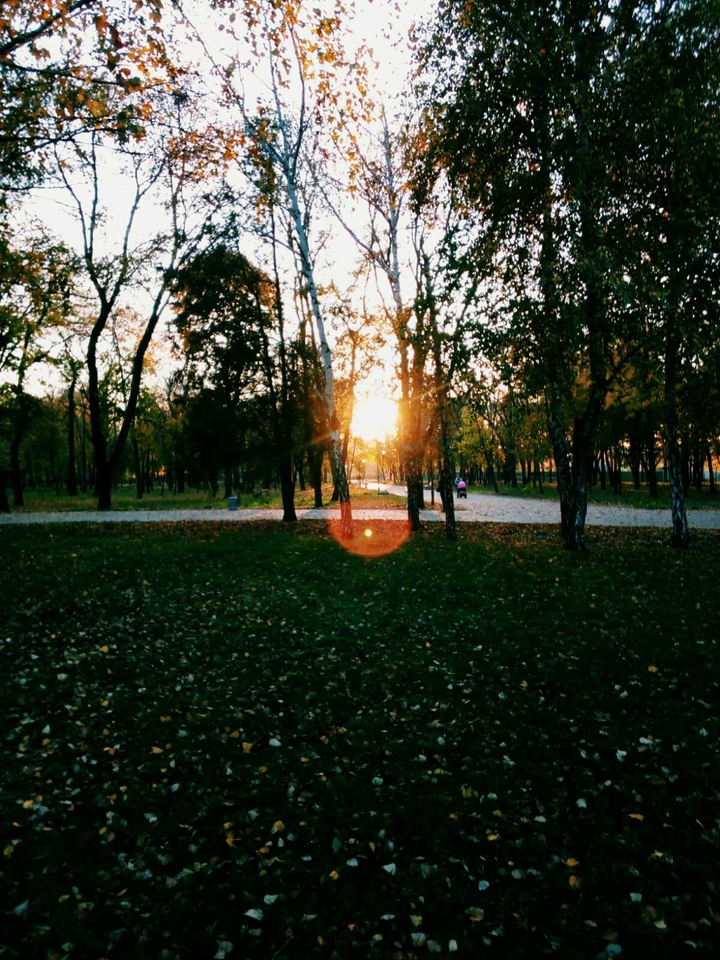 Sunset in the park