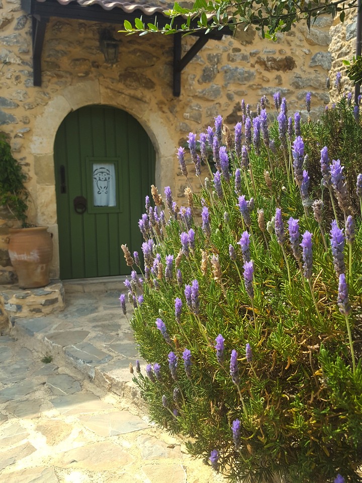 green, vintage, summer, flowers, traditional village