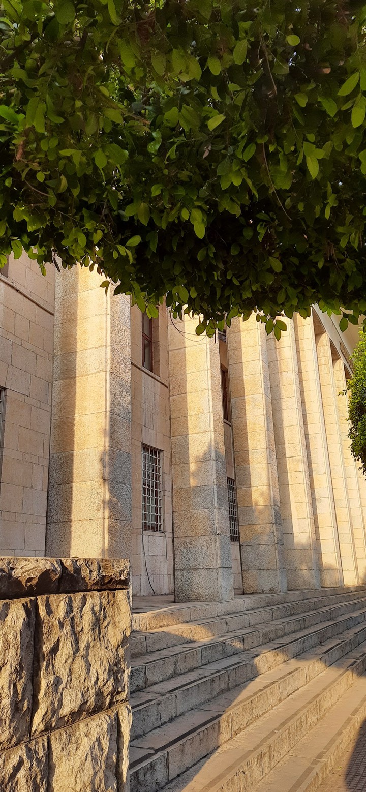 golden hour with the museum