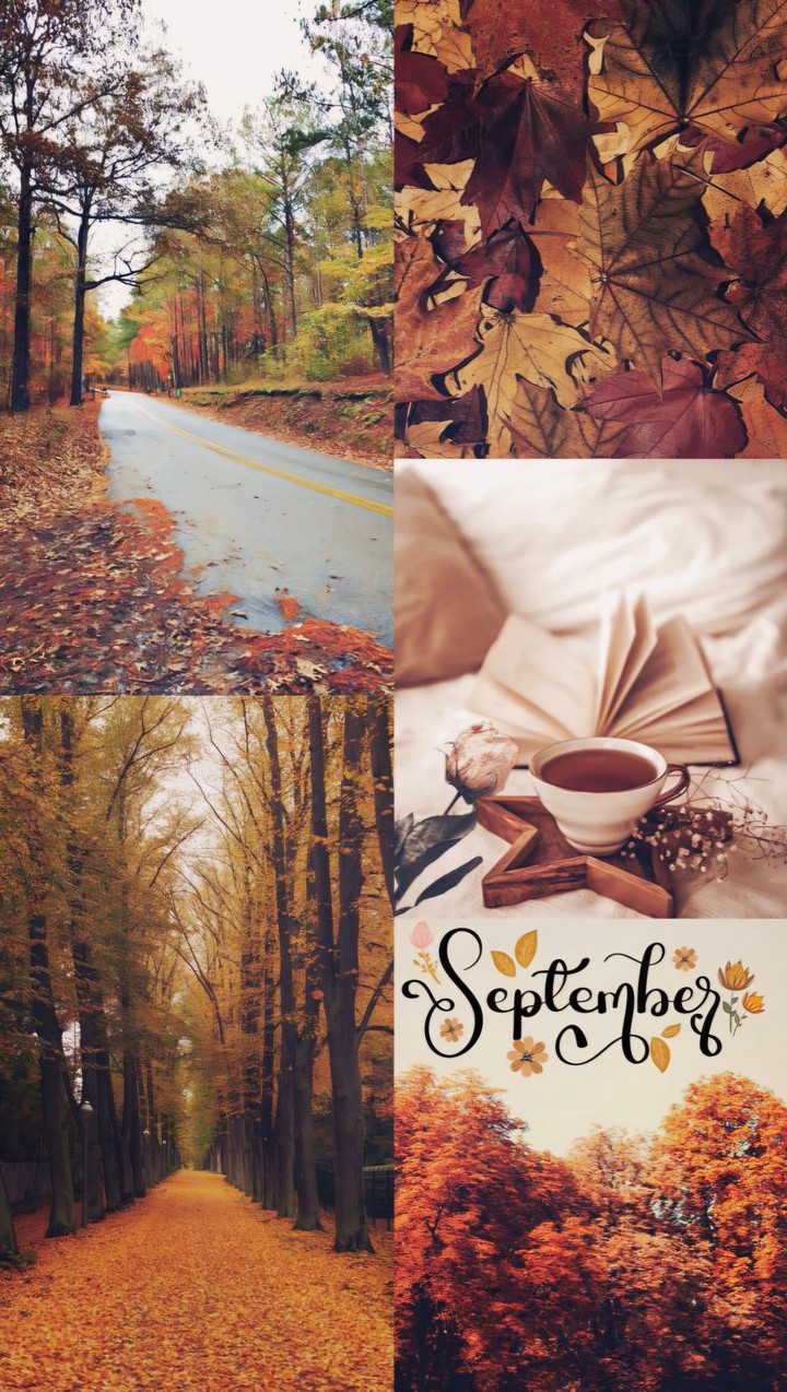 ~•◇ September ◇•~