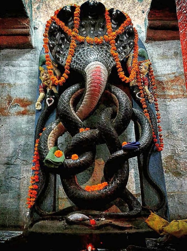 naagdevi