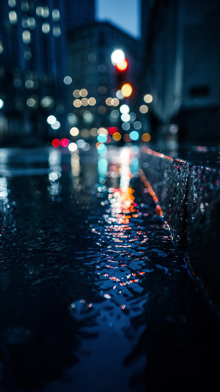 El brillo de la noche.