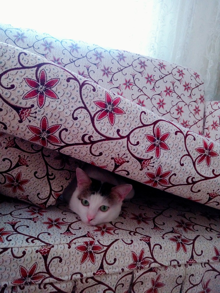 Merhaba  :)   :)