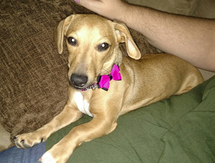 Lady Sansa