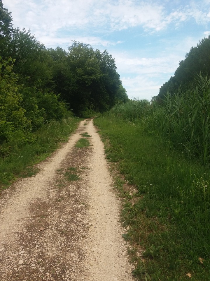 Walk