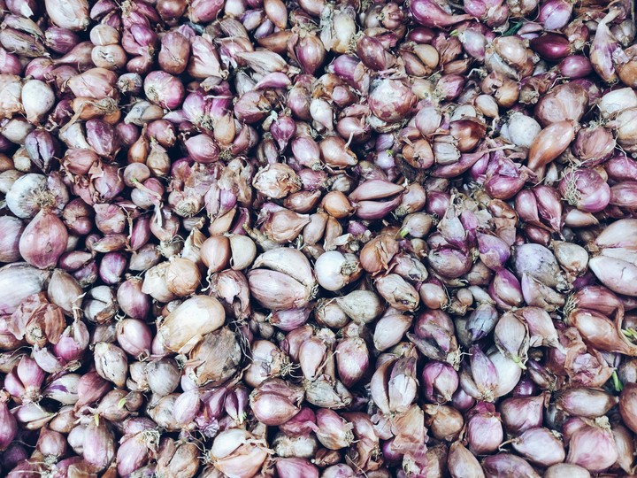 onion wallpaper