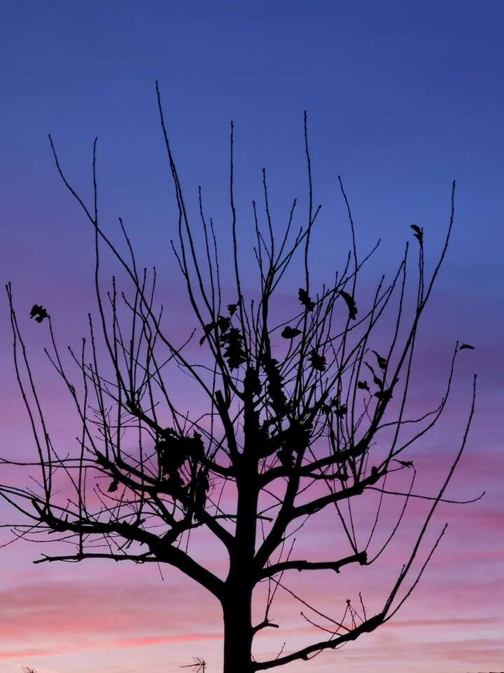 - a new day -