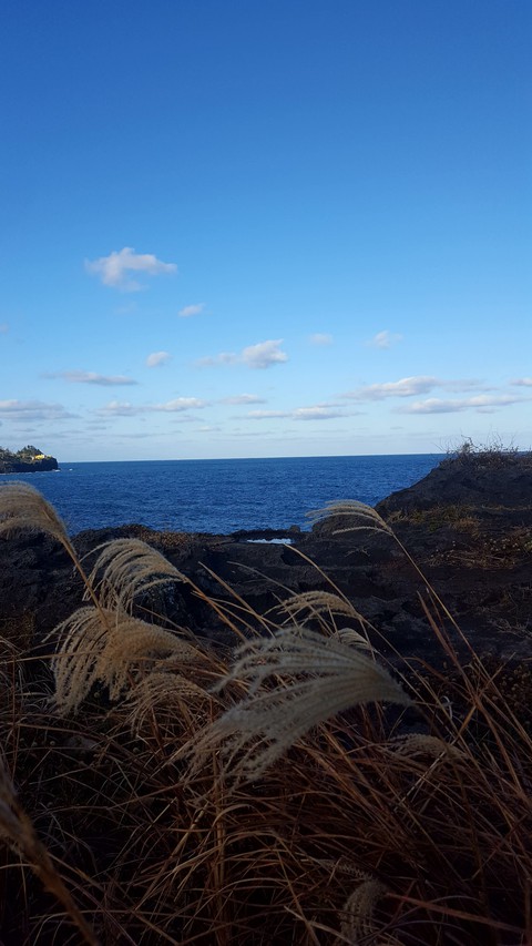 Sea