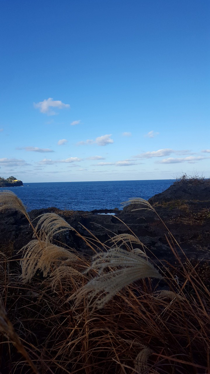 Sea
