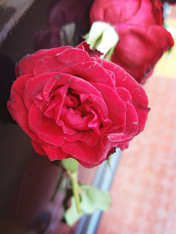 pic by me...??...because...