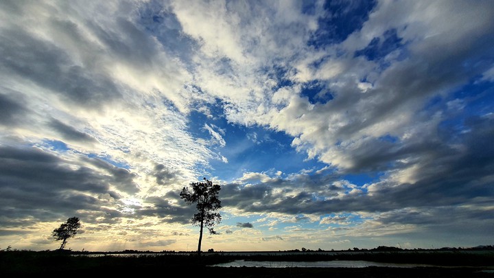 Sky & Tree