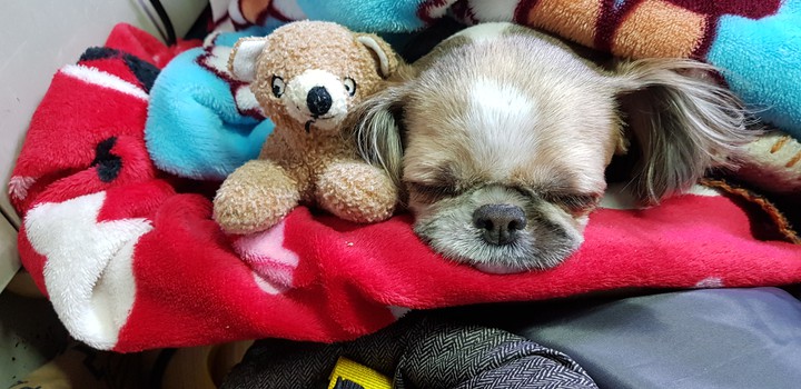 쮸~~^^