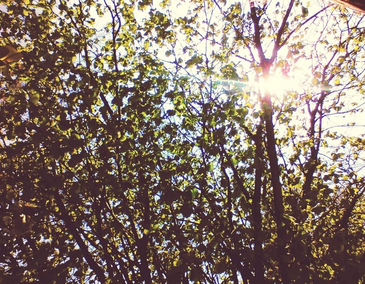 Summer