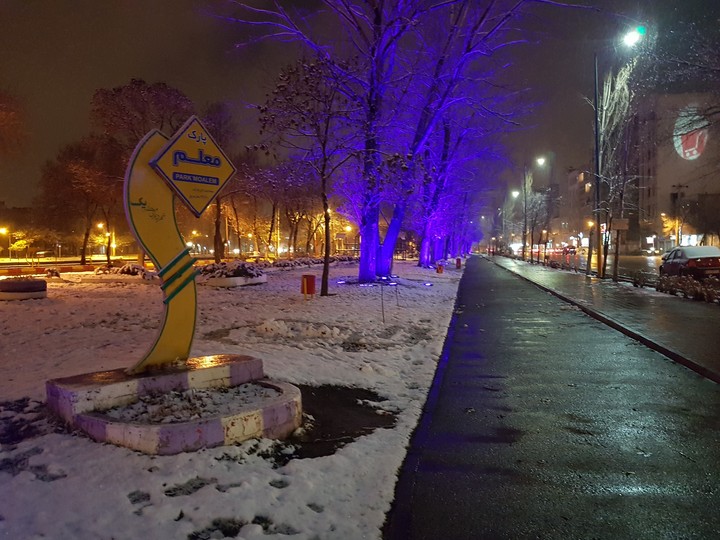 beautiful Park in winter