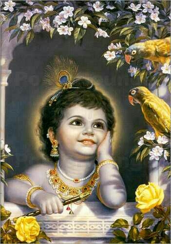 baby krishna