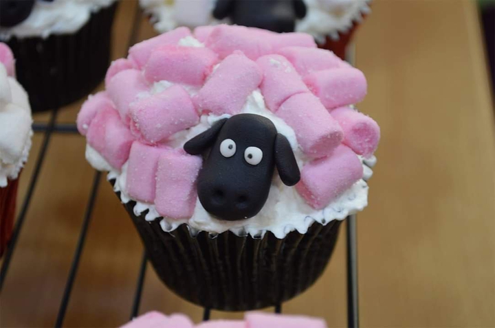 Pink Sheep