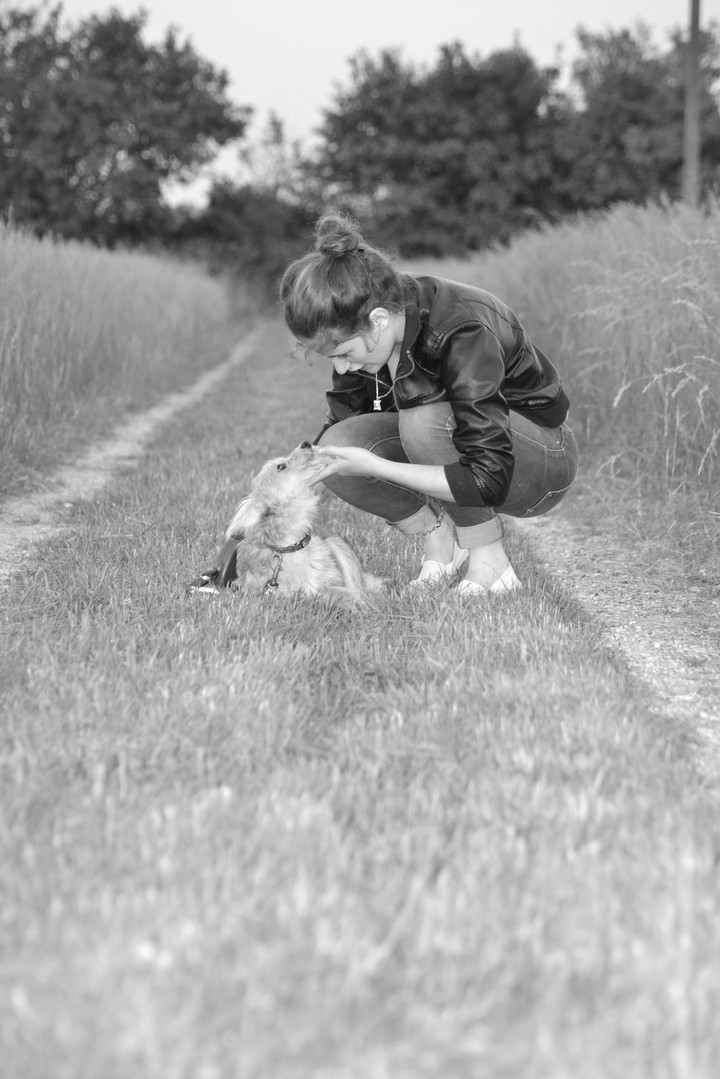 l'animal et l'humain