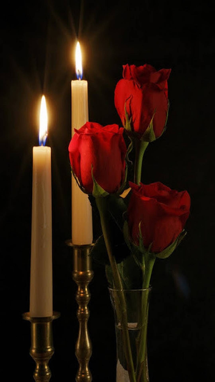 candle rose