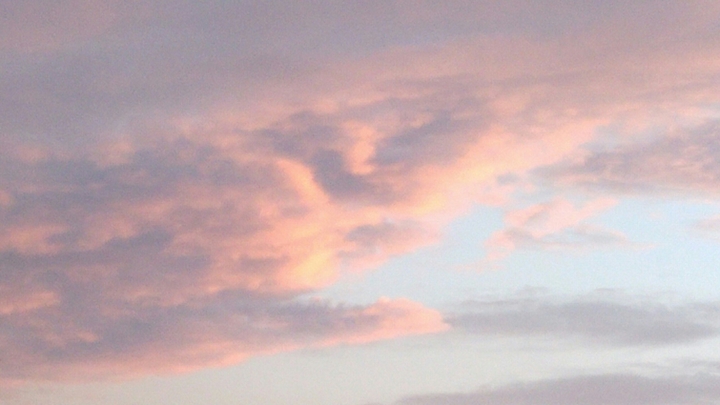 Pink sky