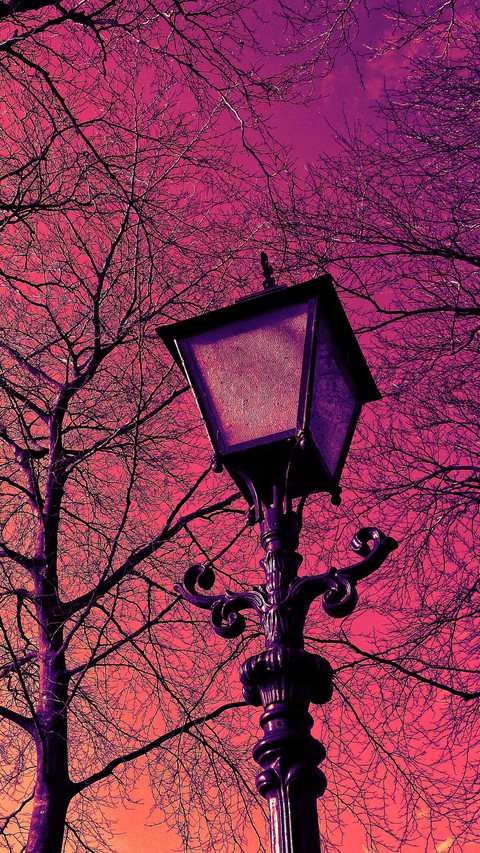 шпалери sky, purple