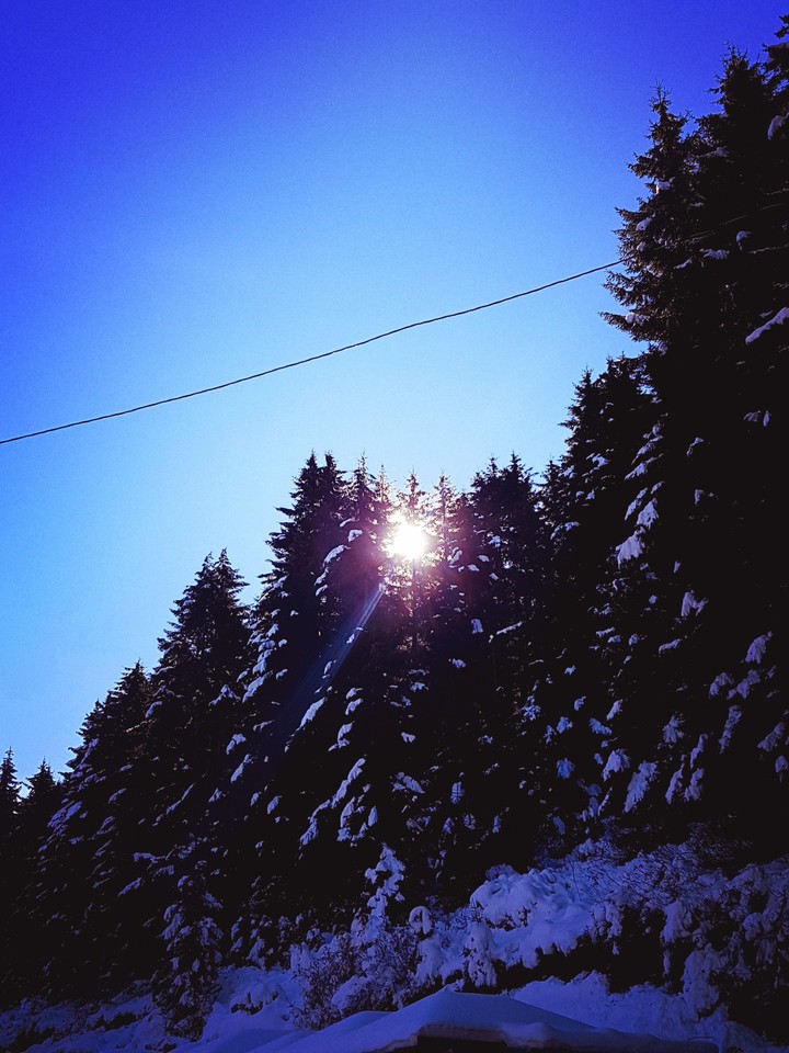 yayla