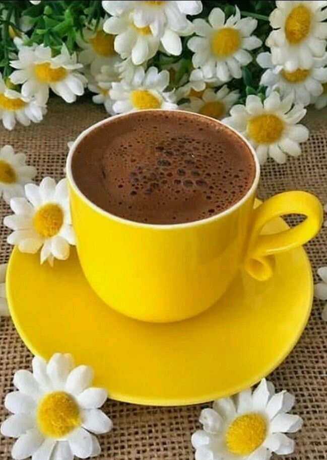 café com amor