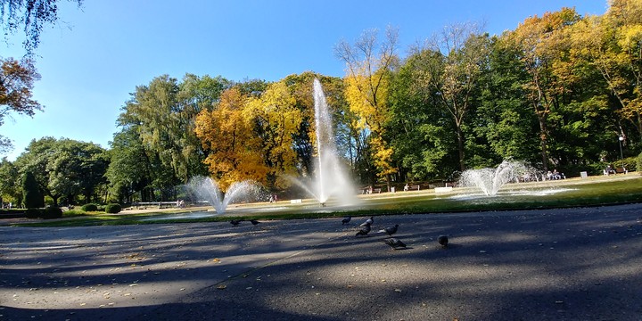 colours of Autumn