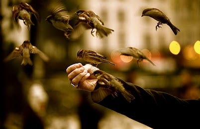 freedom