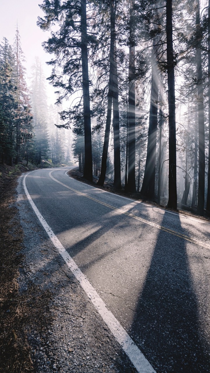 Roads
