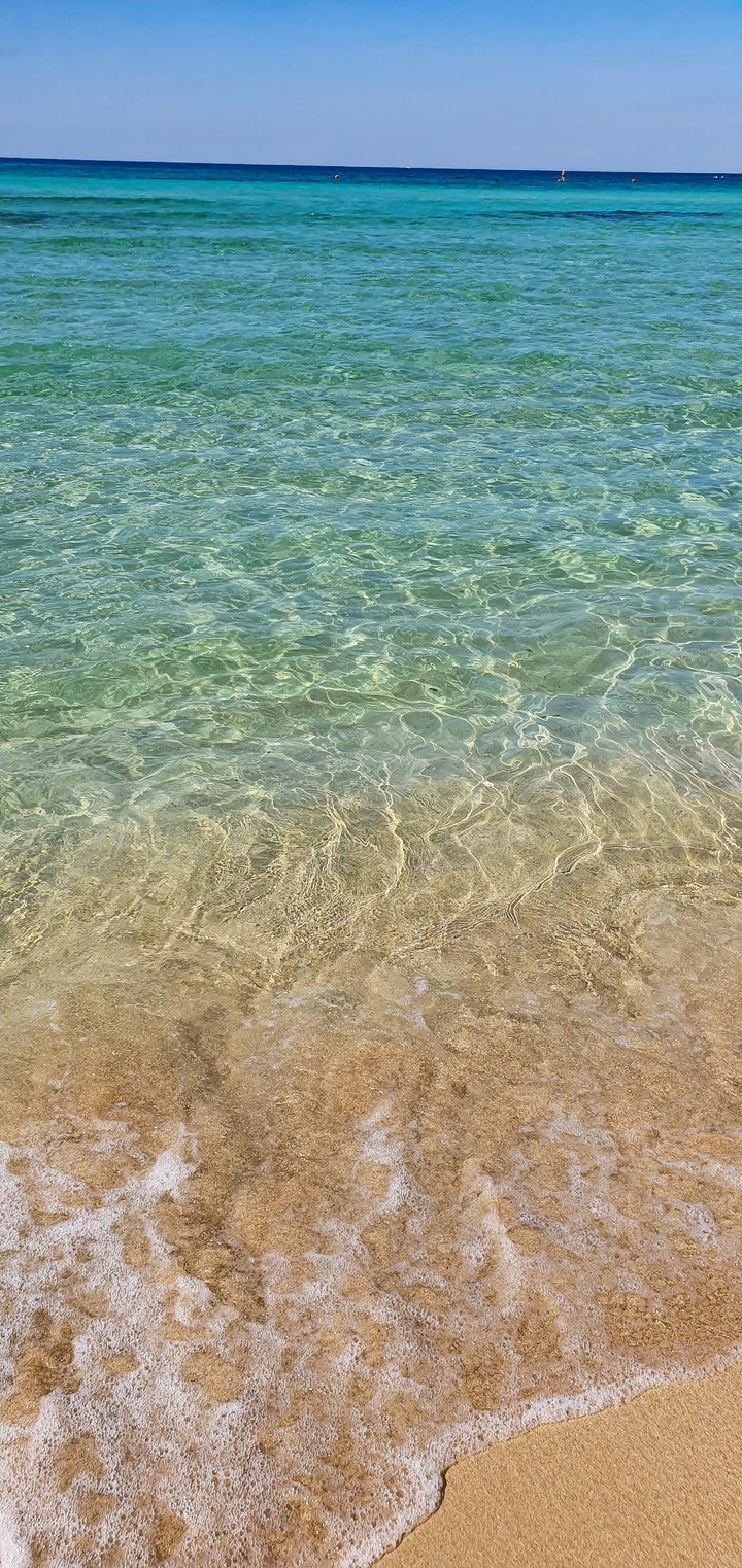 sea