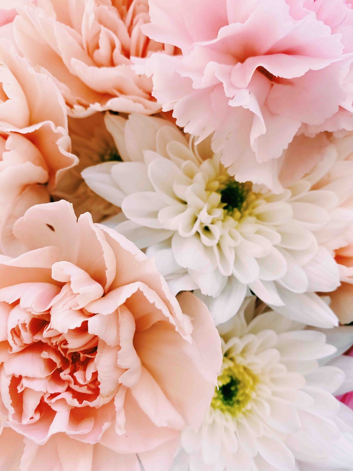 Flowers ( Нежные цветы )