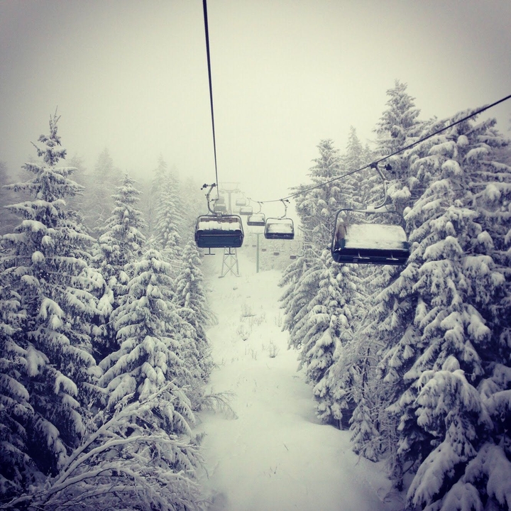 winter