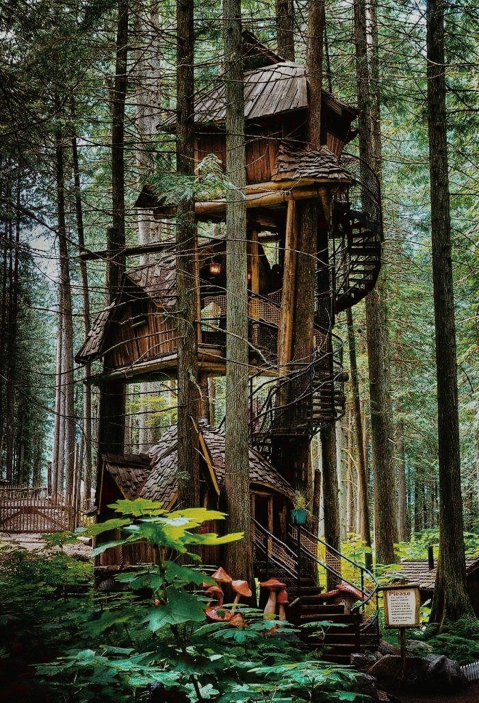 life in nature